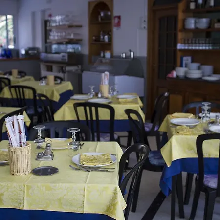 Mimosa Hotel 3*