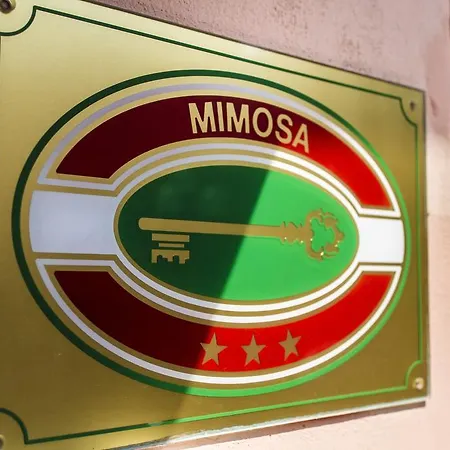 Mimosa Spotorno