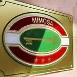 Mimosa Spotorno