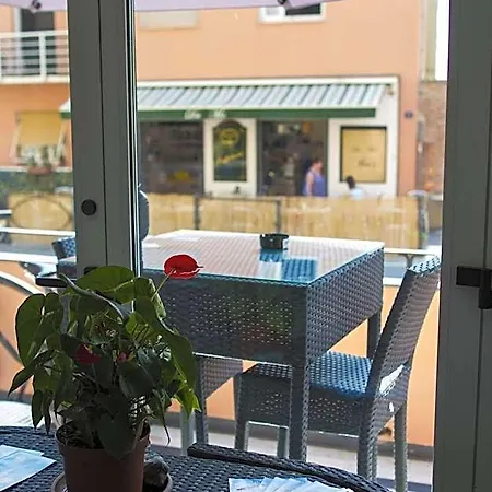 Mimosa Hotel 3*