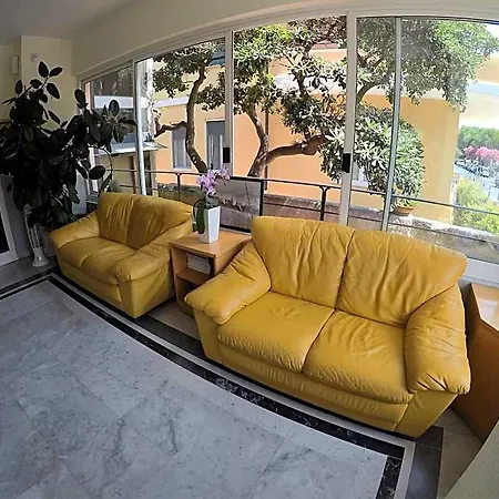 Mimosa