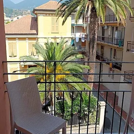 Mimosa Spotorno