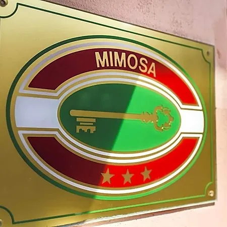 Mimosa Hotel 3*