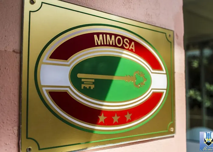 Mimosa Spotorno